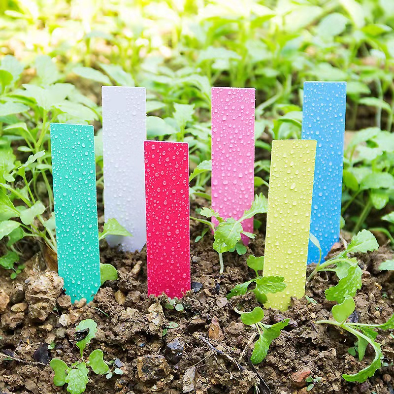 100Pcs Garden Plant Labels Pla - Embroidery Garden review and price