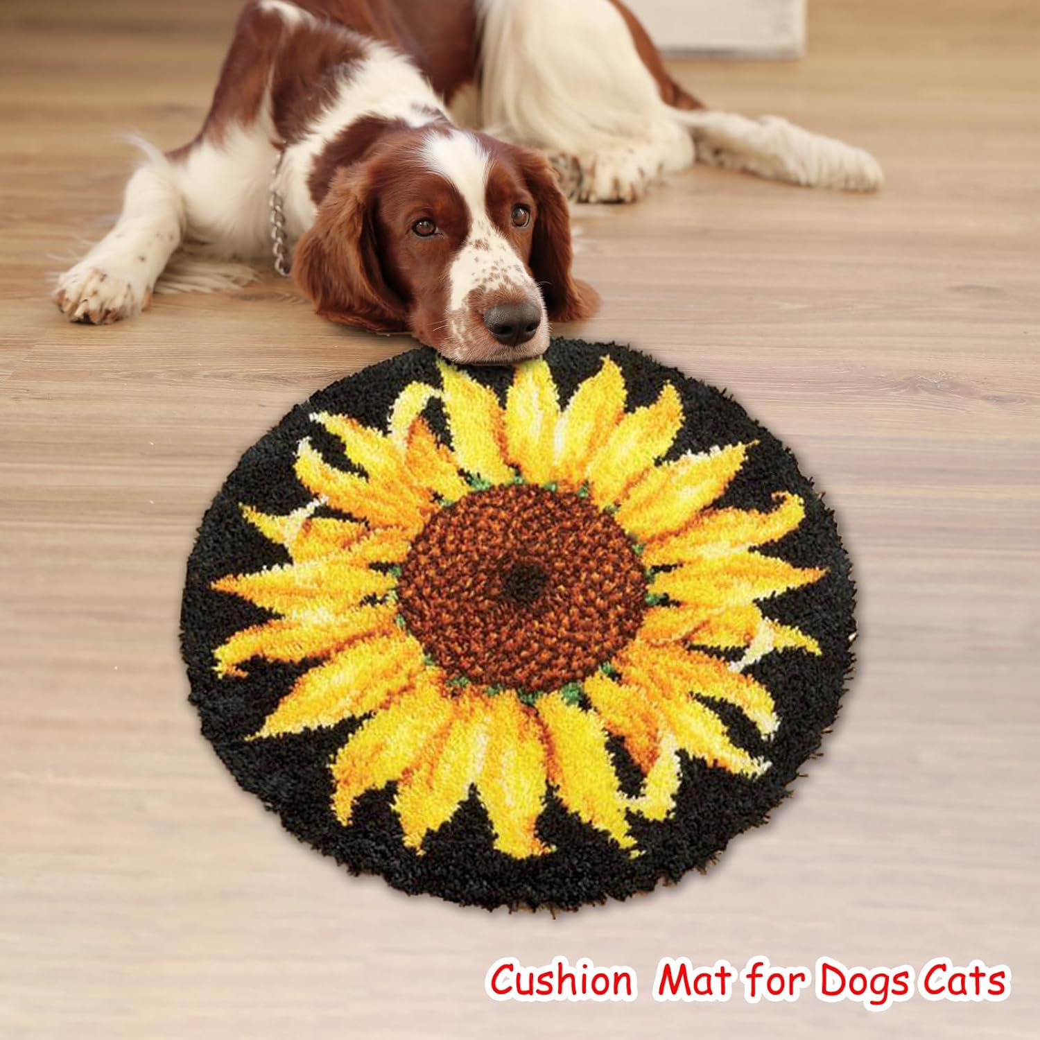 Latch Hook Rug Kit, Sunflower  - Embroidery X Pattern review and price